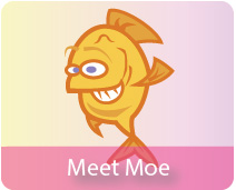 Meet Moe
